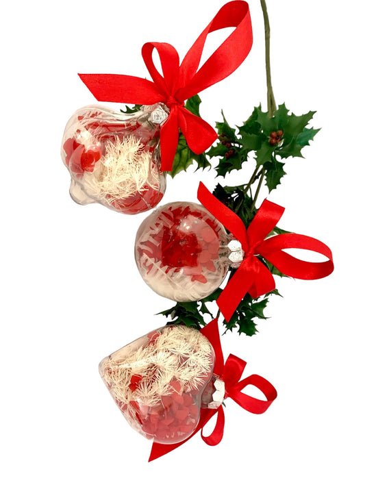 Christmas dried and preserved flower baubles red